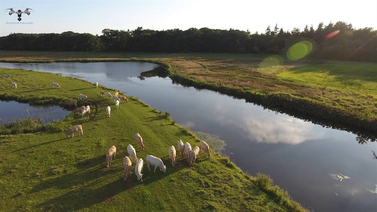 De adembenemende natuur van het Markdal in de omgeving van Breda, Nederland