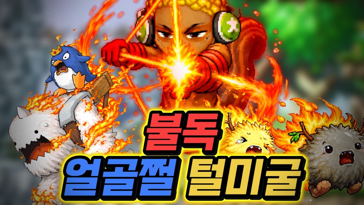 불독 얼골쩔, 털미굴 체험 [메이플랜드]