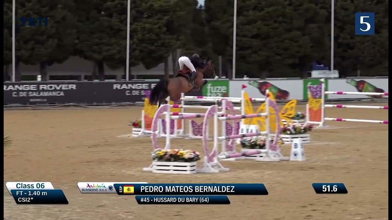 HUSSARD DU BARY (Bassano / Lux Z) 2017 Gelding - CSI** Sunshine Tour - 140 class - January 2026