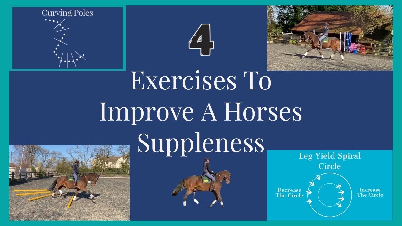 EXERCISES TO HELP IMPROVE YOUR HORSES SUPPLENESS | DRESSAGE TRAINING | Equestrian