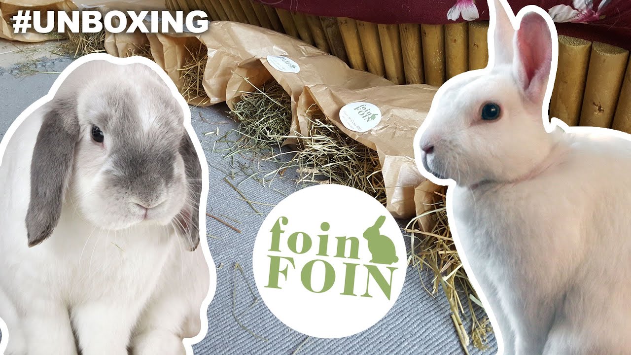 Mes lapins testent 7 foins pour en trouver un qu'ils aiment !