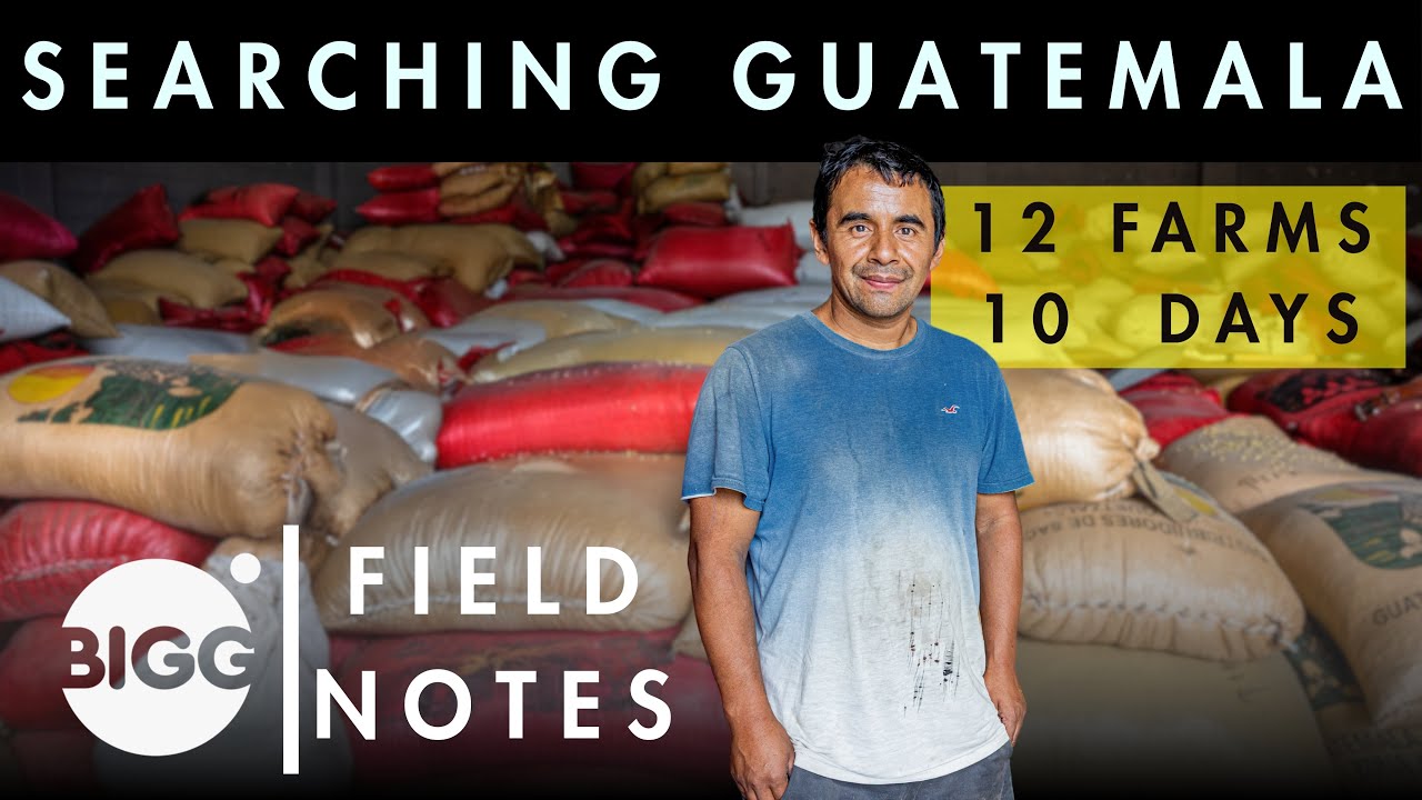 Finding the Perfect Fit in Guatemala | Field Notes