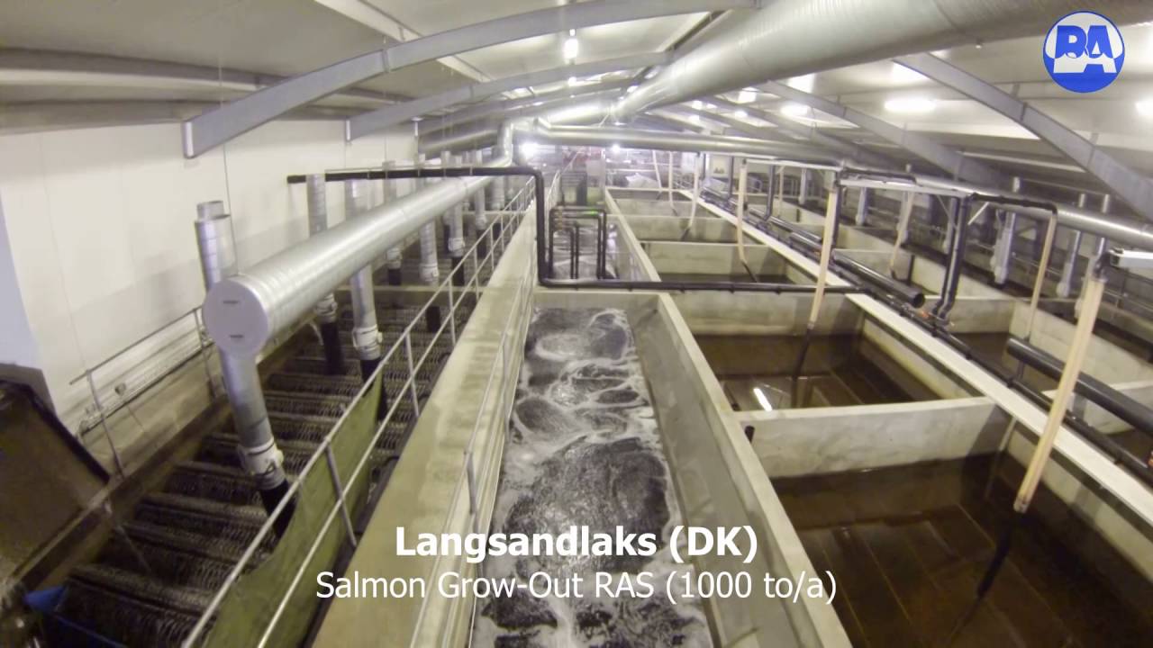 Landbased Farrming of Salmon and Sturgeon.