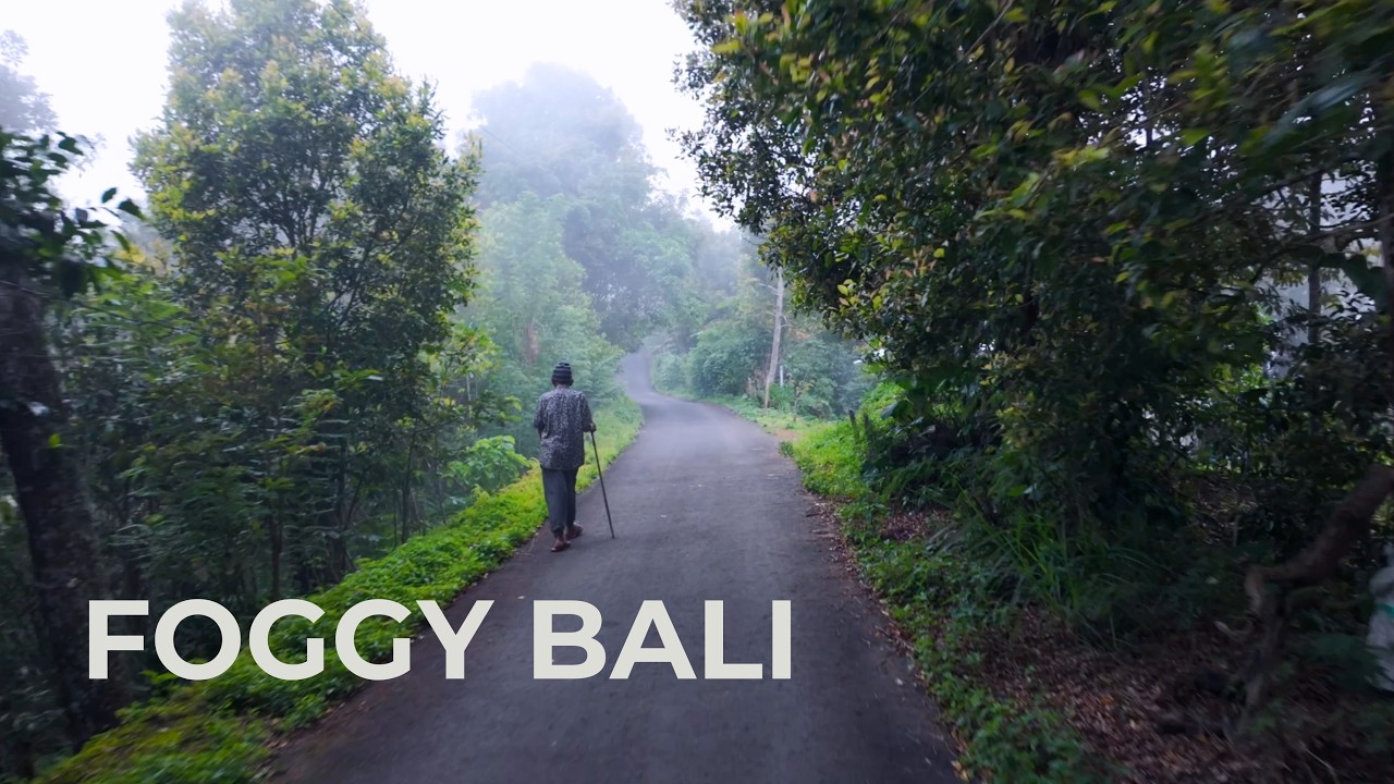 30 Minute Drive in Bali: Magical Foggy Mountain Road in Kintamani (4K)