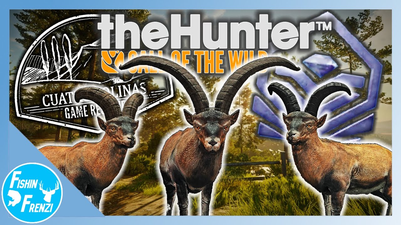 Ibex Are The MOST COMMON Diamond In theHunter - Call of the Wild!!