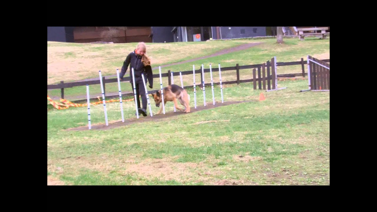Agility klasse 1