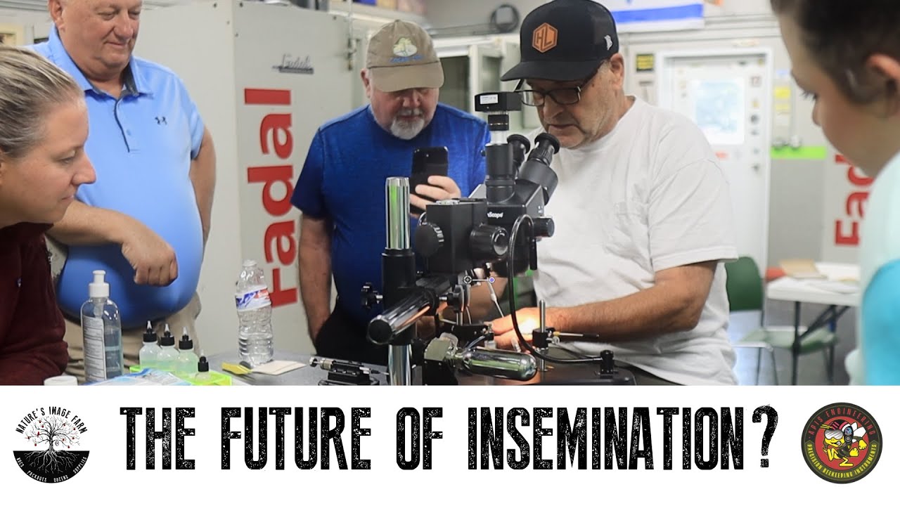 Educating the Educators: The FUTURE of Honey Bee Insemination?