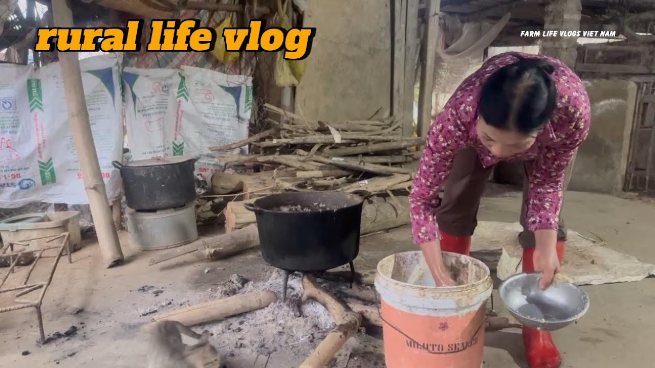 Simple rural life &ndash; A family vlog of raising chickens, cows, and pigs in the countryside