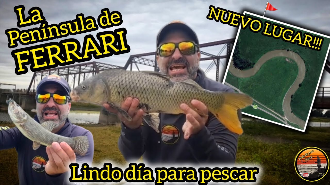 Pescamos en Ferrari!!! En un lugar impresionante!!! // río Samborombon 