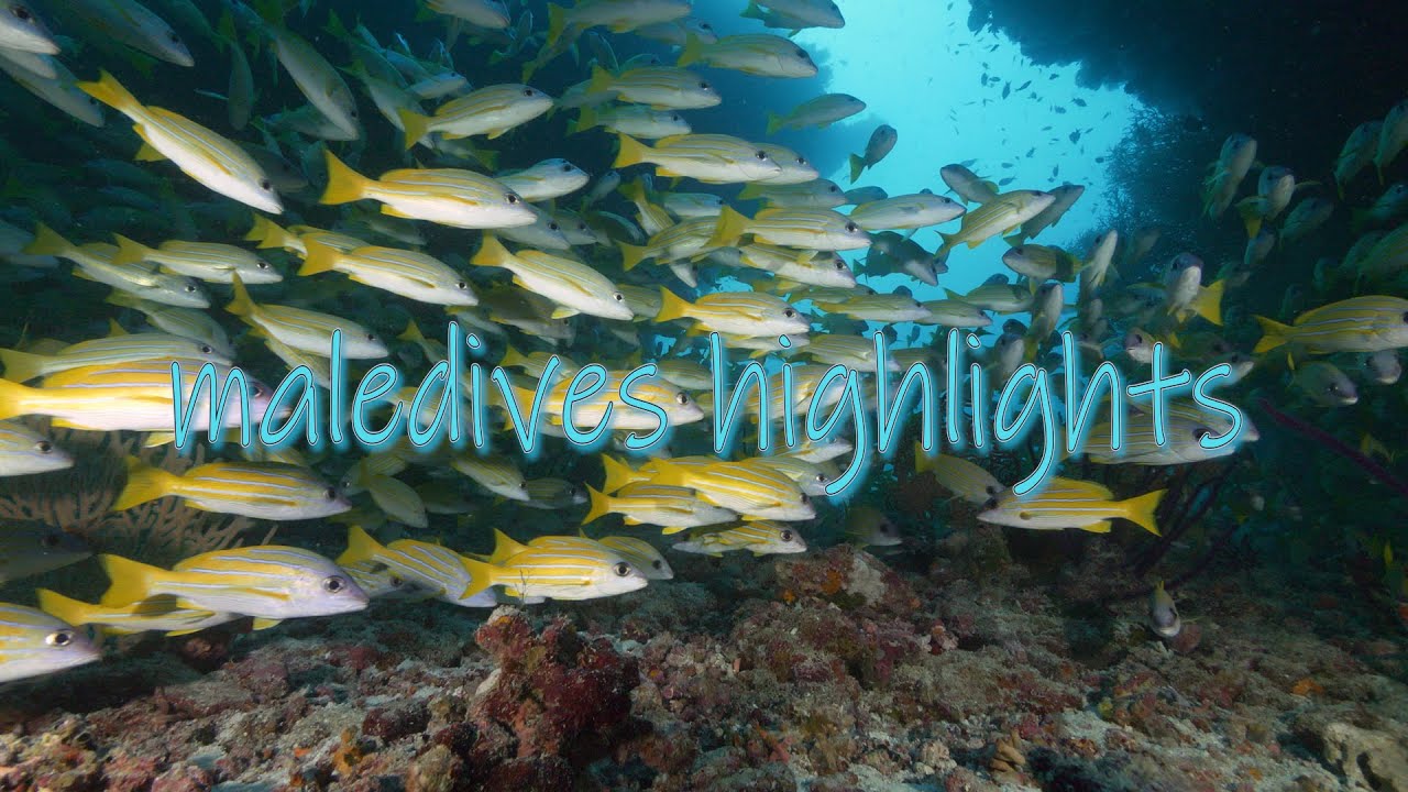 Maledive Islands GH5