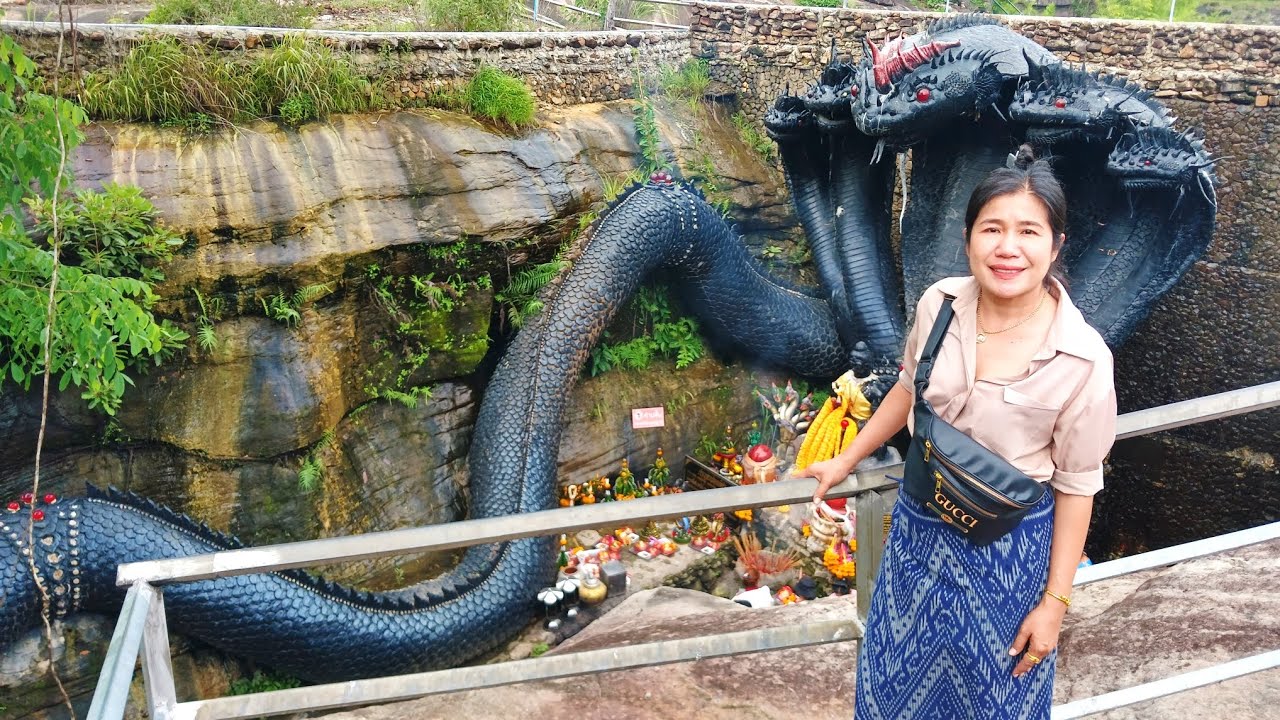 พญางูใหญ่นาคราชองค์ดำ วัดภูยอดรวย