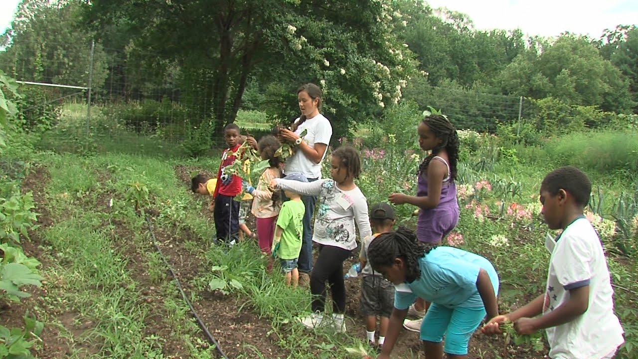 Organic Gardening for Children