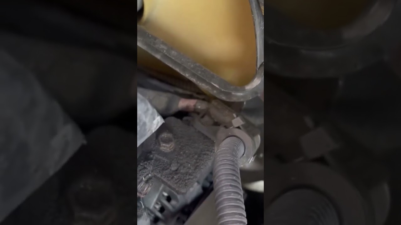 Customer States &ldquo;Loud Noise Coming From Engine Bay&rdquo; #short #noise #customerstates #howifixedit