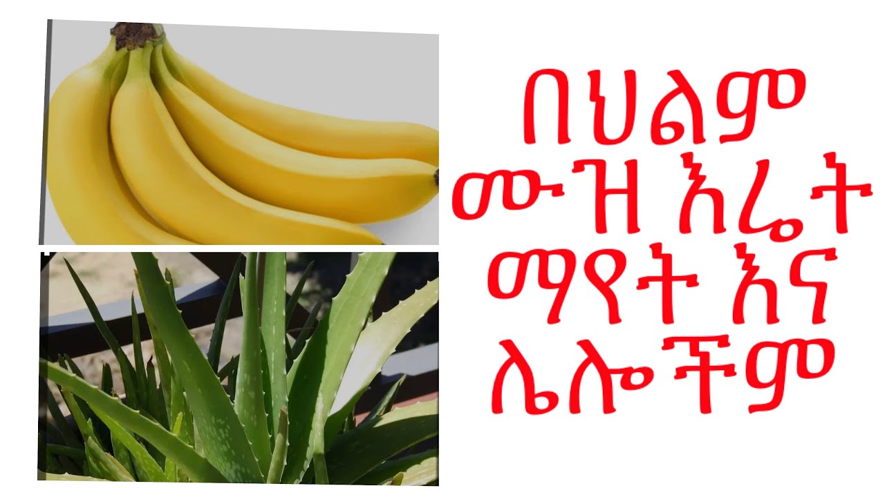#የህልም #ፍቺ  #ሙዝ #ሰዓት #ድመት እና ሌሎችም  @Kokotubeኮኮቲዩብ  #dream-interpretati