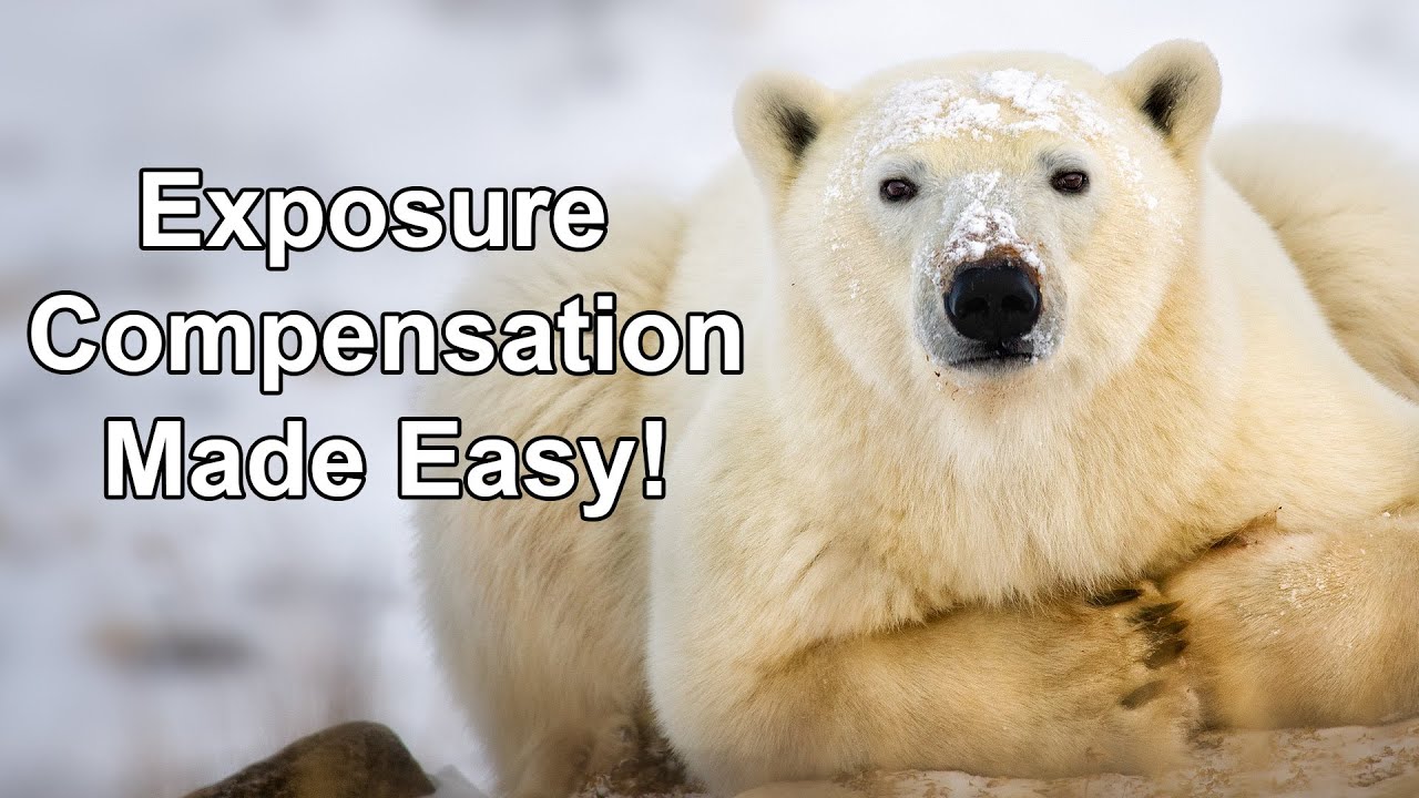 Exposure Compensation Made Easy!