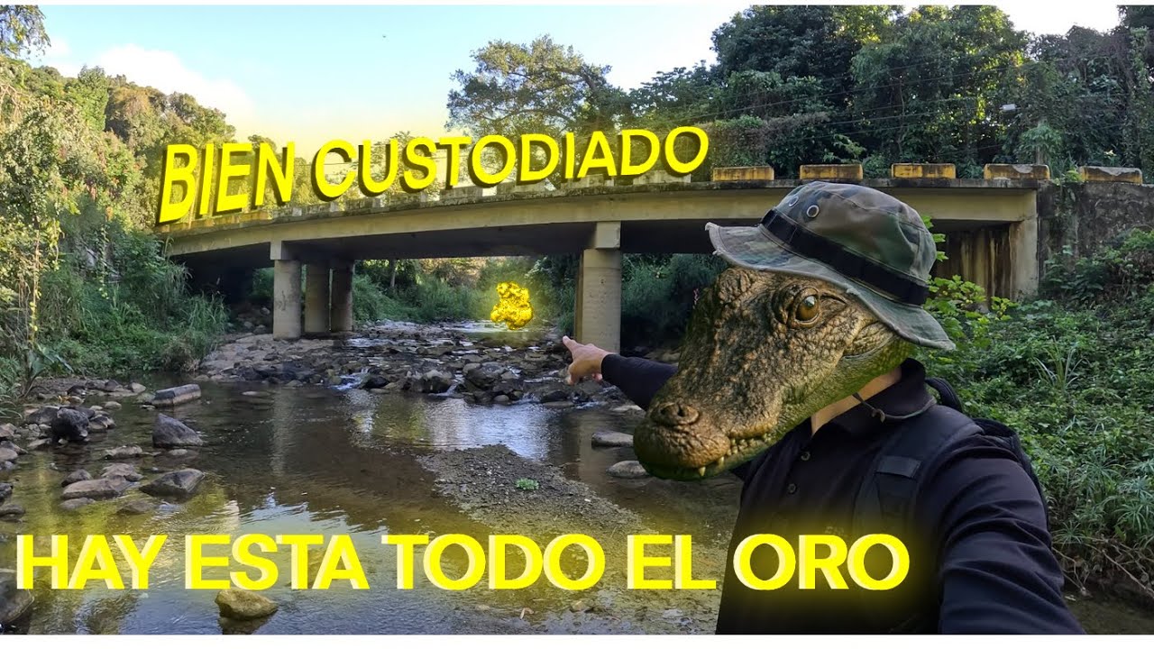 HAY ESTA Todo el ORO | Bien Custodiado | #goldfever #naturaleza 