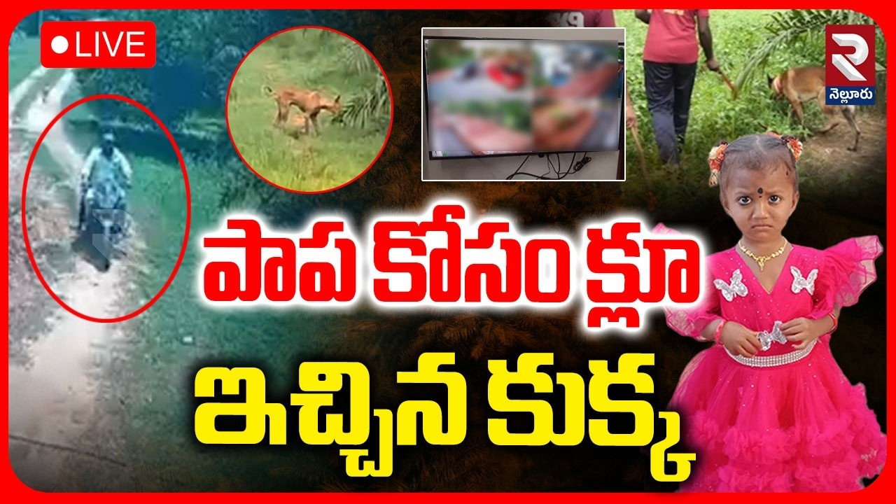 Tuni 3 Years Girl Missing Mystery Update LIVE : పాప కోసం కుక్క | Kakinada Girl Missing Case | RTV