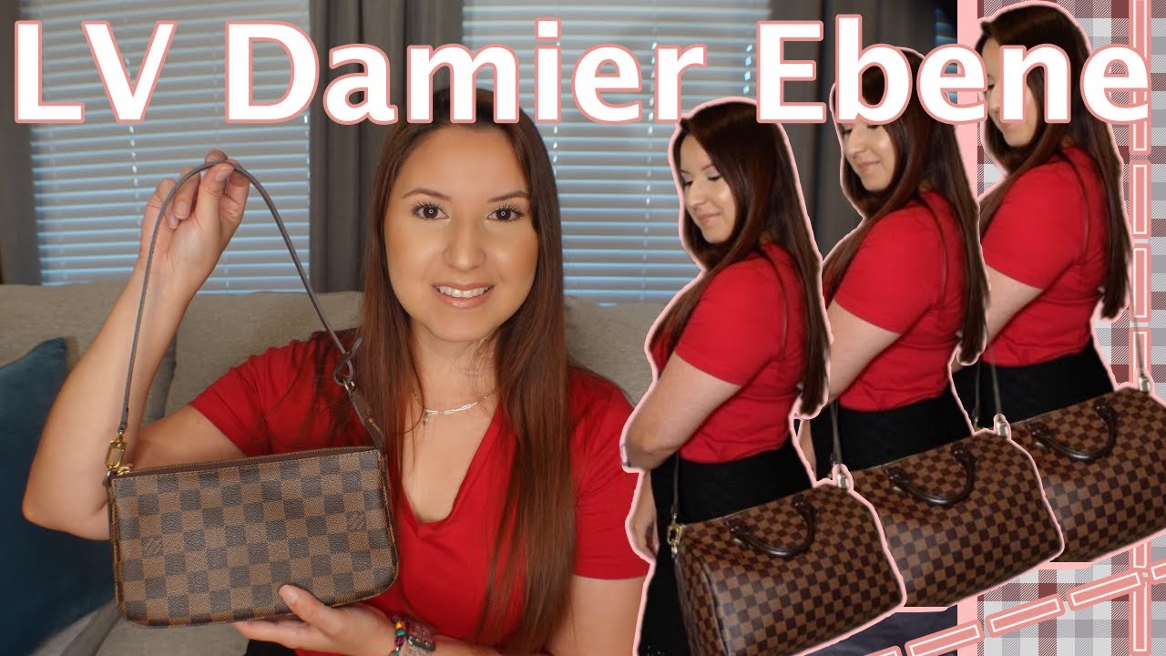 My Louis Vuitton Damier Ebene Collection | 2023