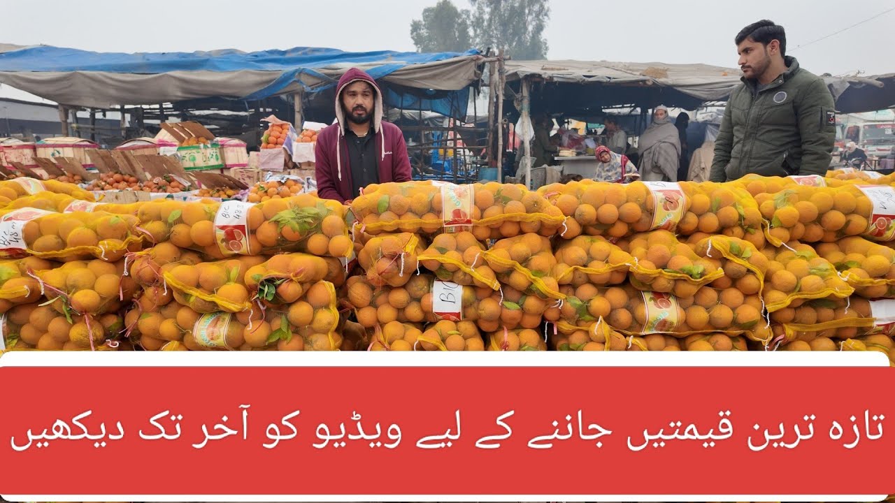 آج کی اس ویڈیو میں ہم آپ کو ان تازہ اور بہترین پھلوں کے بارے میں دکھا رہے ہیں۔ اس ویڈیو میں 