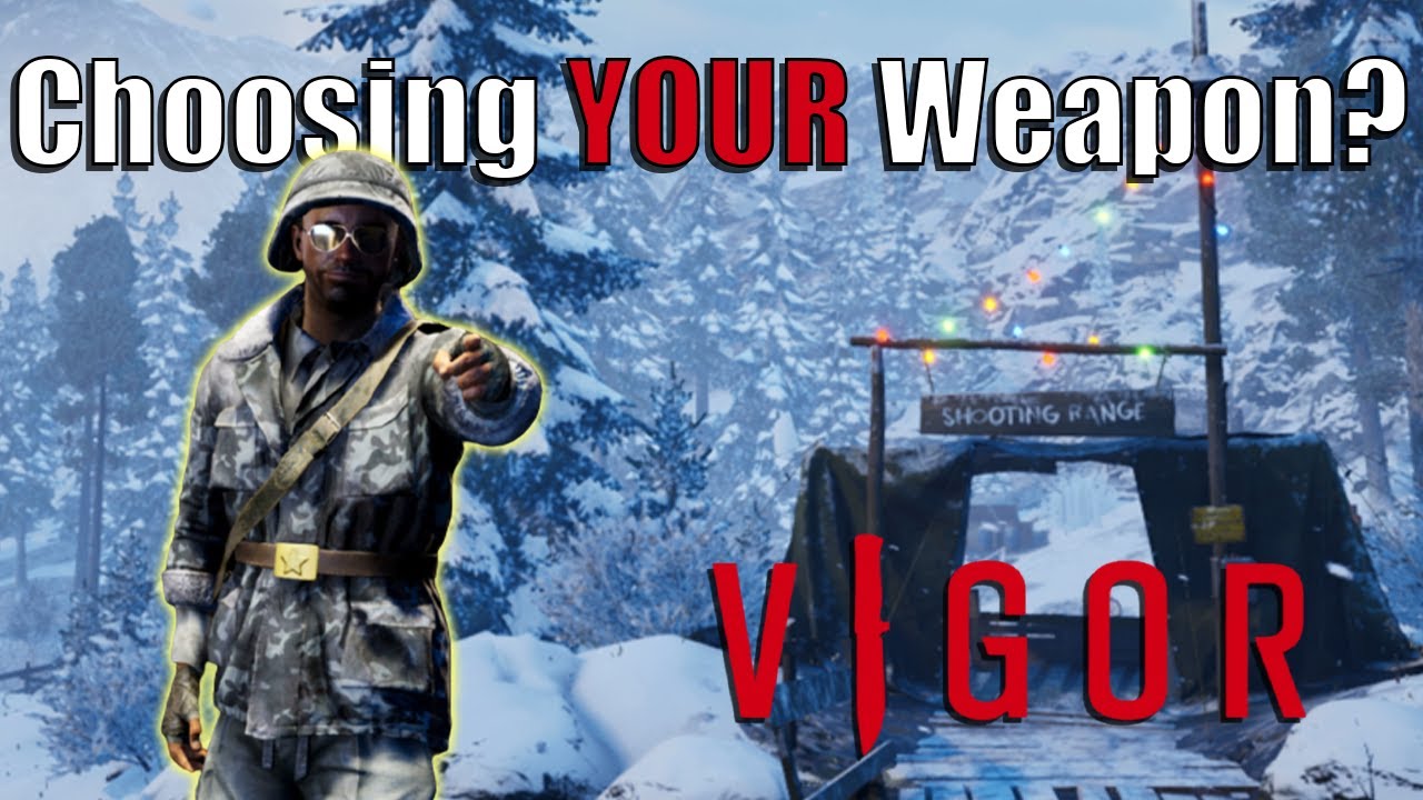 How to Pick the Best Gun for you In Vigor