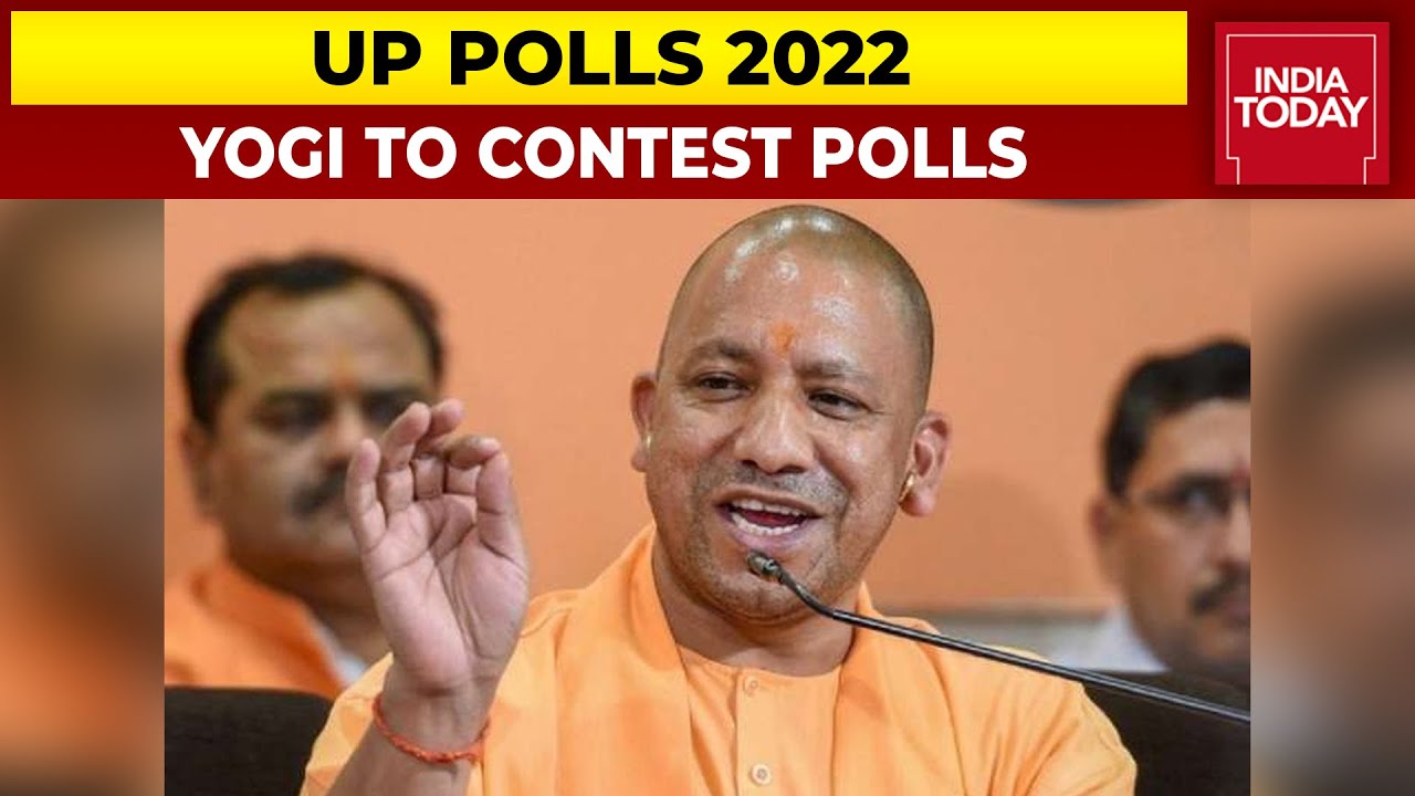 UP CM Yogi's Big 2022 Declaration, Says Will Contest Polls | UP Election