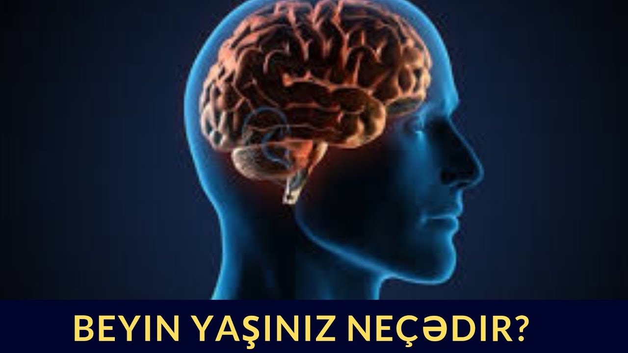 Beyin yaşınız neçədir? - Öyrənin - TEST