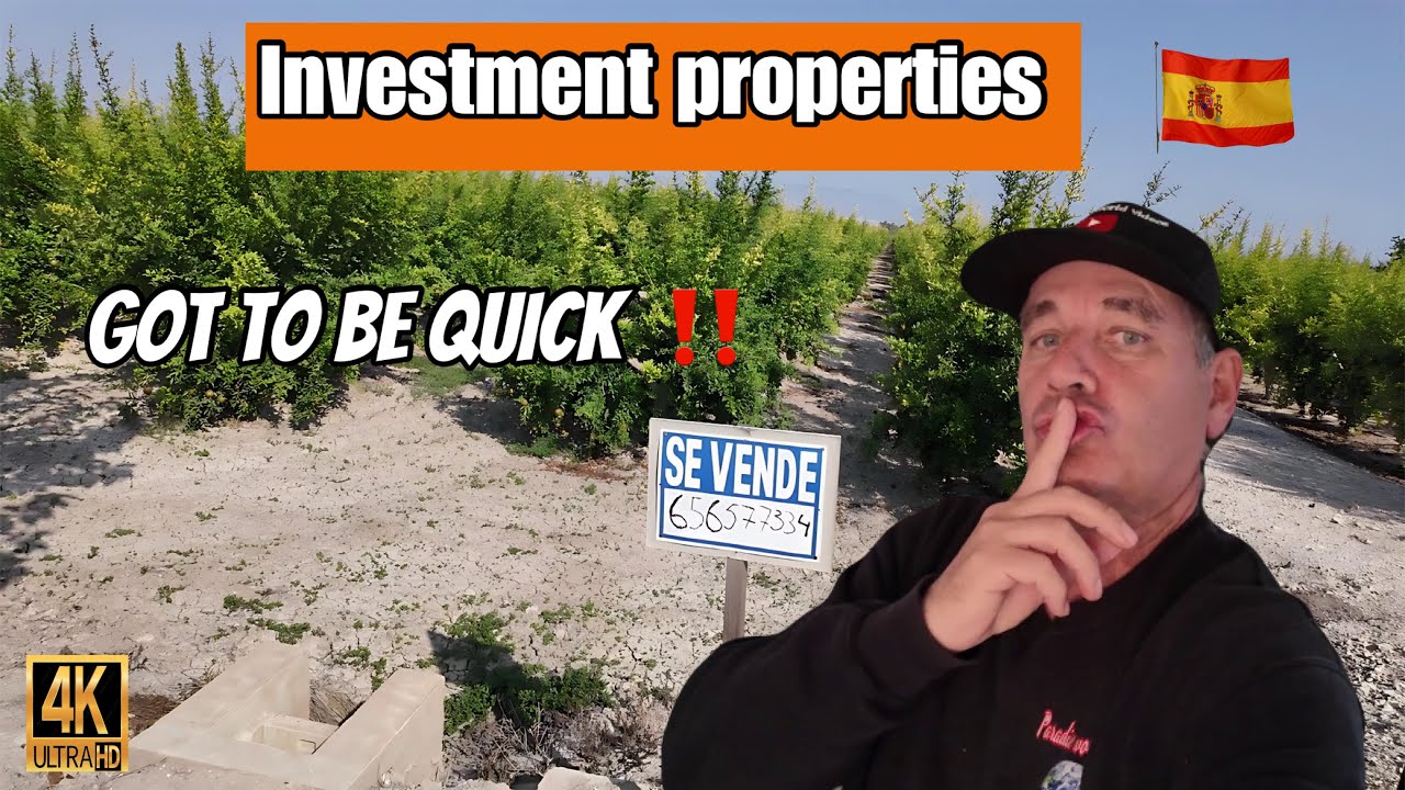 How much can you make in agricultural land❓Investing in property in Spain 🇪🇸