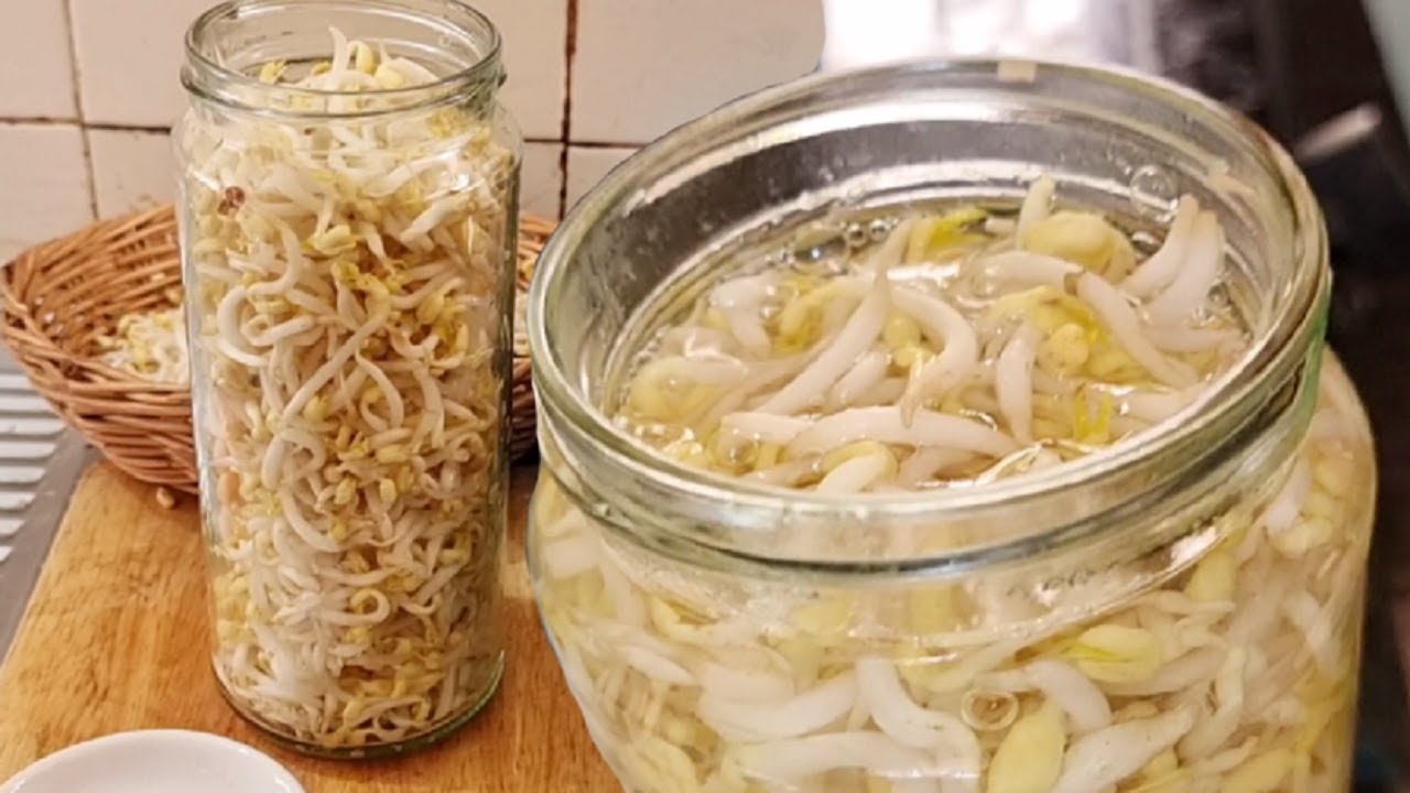 ជ្រក់សណ្តែកបណ្តុះស្រួយឆ្ងាញ់ របៀបធ្វើអ្នកខេត្តស្វាយរៀង, How To Make Pickled Bean Sprouts Recipe 1