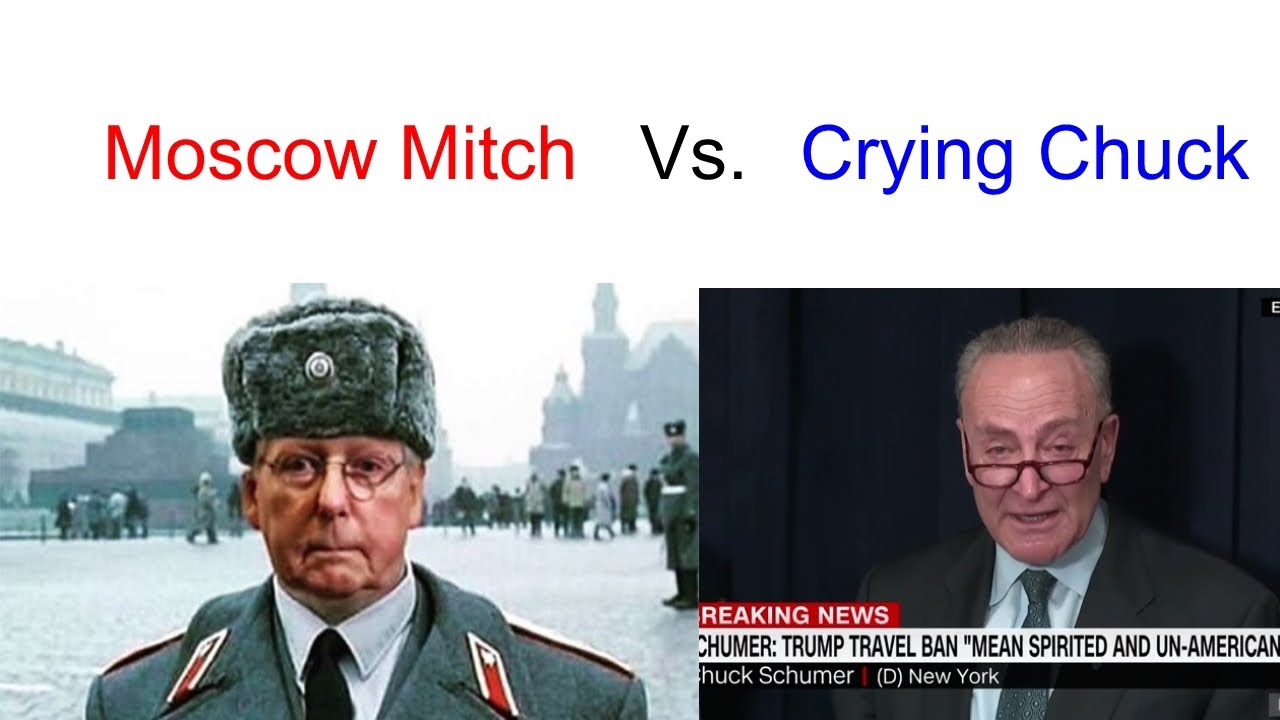 2020 Senate Election Prediction