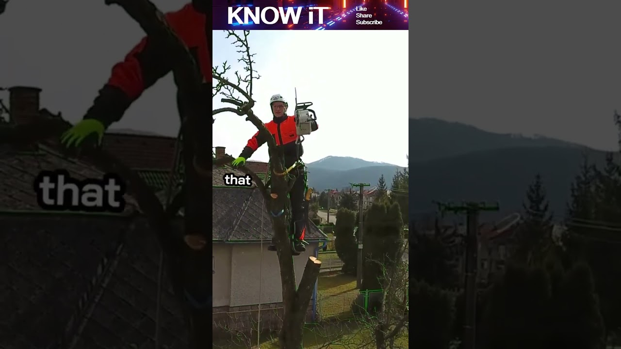 10 Fantastic Facts About Arboriculture | KNOW iT