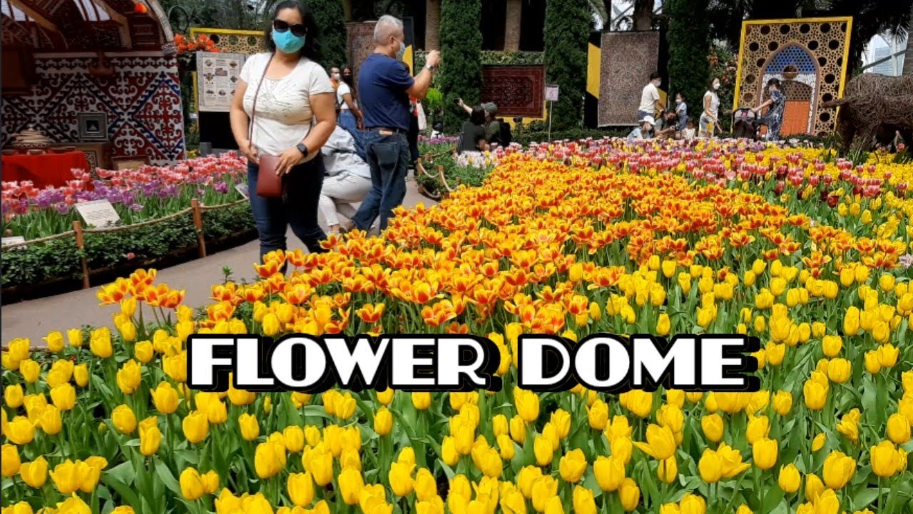 FLOWER DOME|| part 1