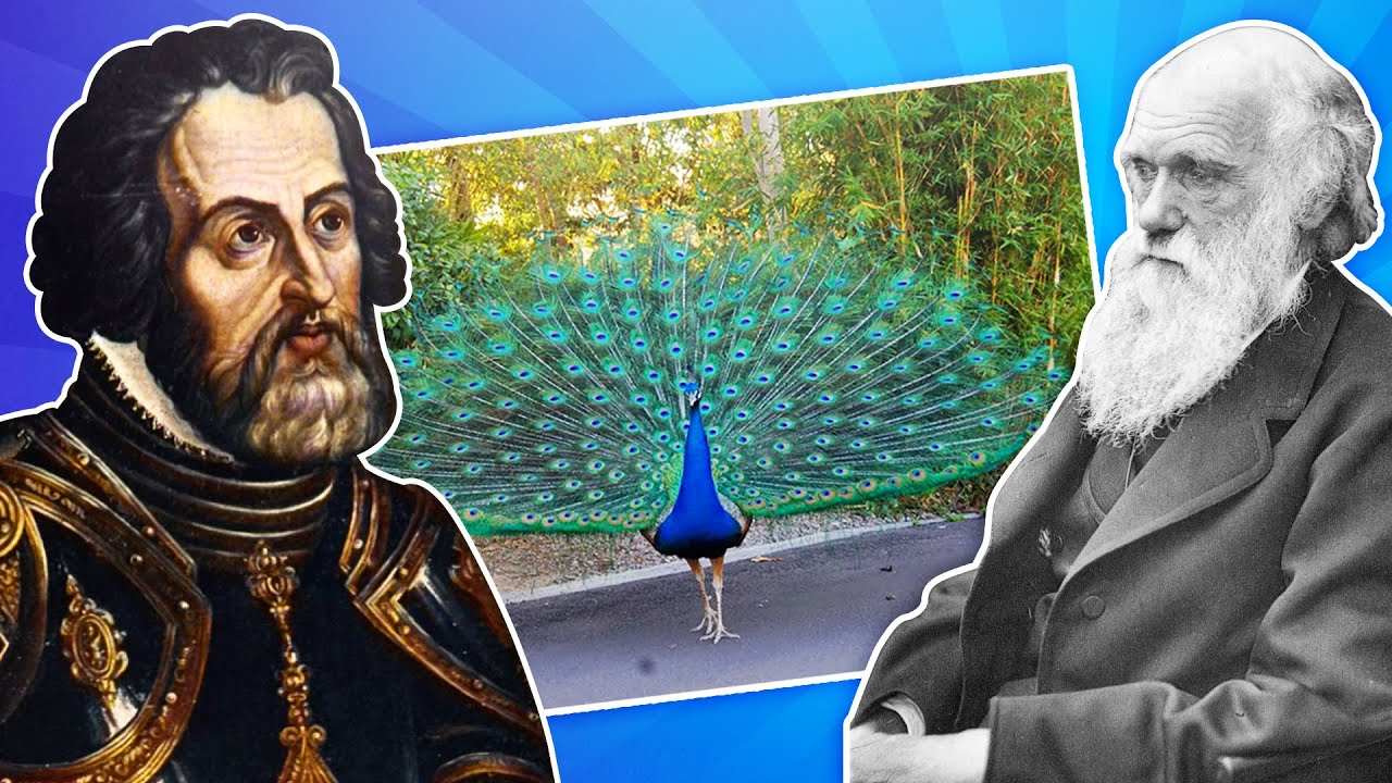 The Handicap Principle:  From the peacock to Hernán Cortes