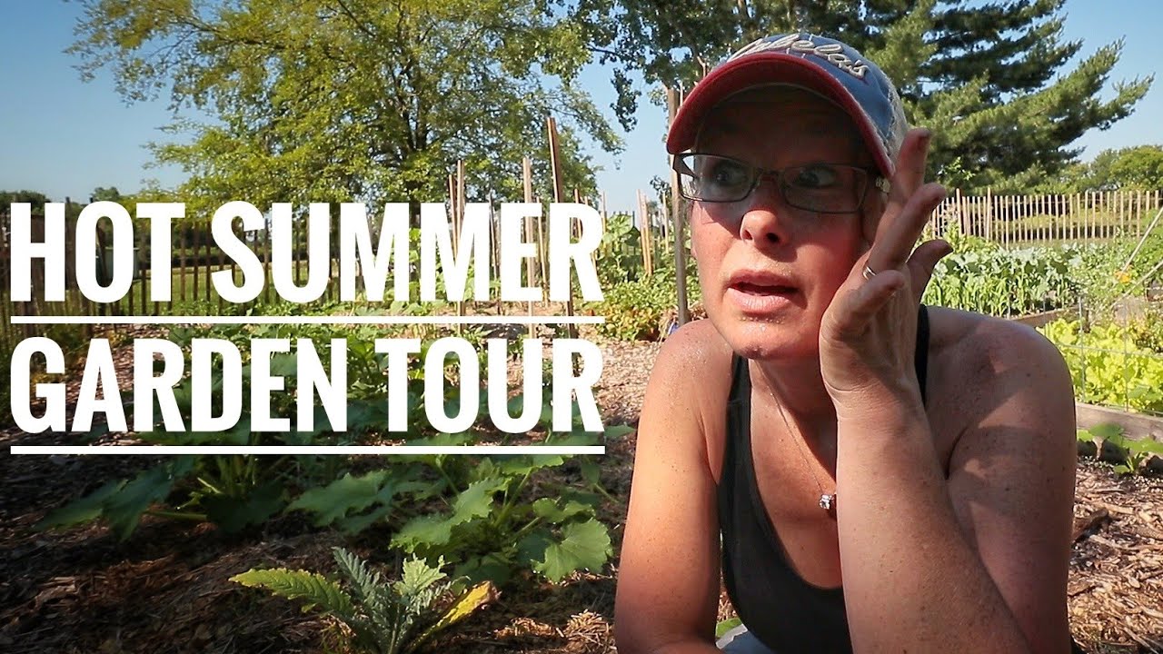 ZONE 6 Summer Garden Progress | Zucchini, Tomatoes & Onions, OH MY!
