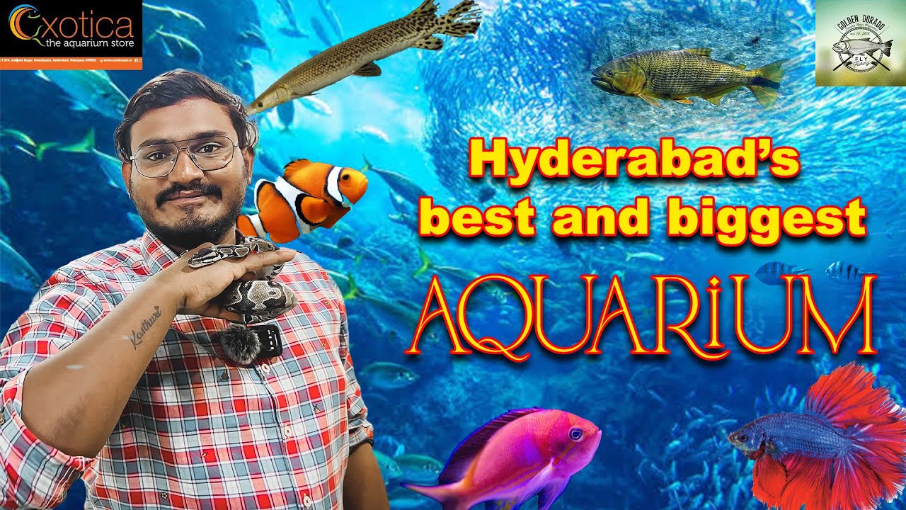 Exotica aquarium| largest aquarium store in Hyderabad | biggest aquarium store|telugu vlogs|Rarefish