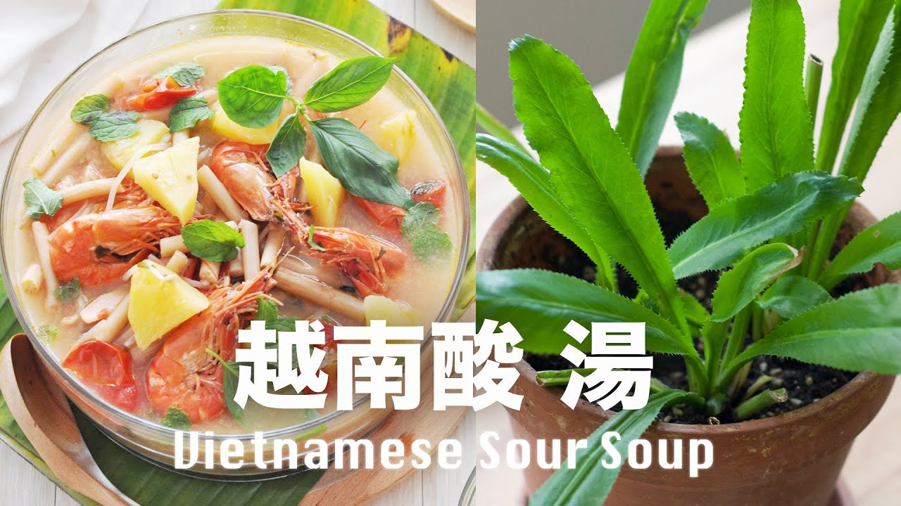 超簡單滾湯❗️即煮即飲❗️特別適合炎熱夏天的開胃越南酸湯❗️ Super Easy Vietnamese Sour Soup