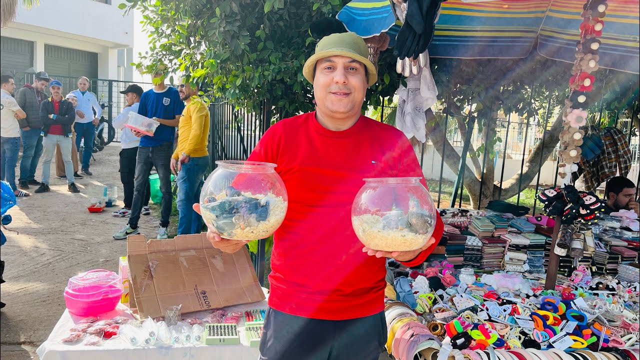 جولة في سوق 🤩🤩الطيور 🦜🇲🇦بمدينة مكناس🇲🇦🇲🇦  رقم الهاتف: 0619227462