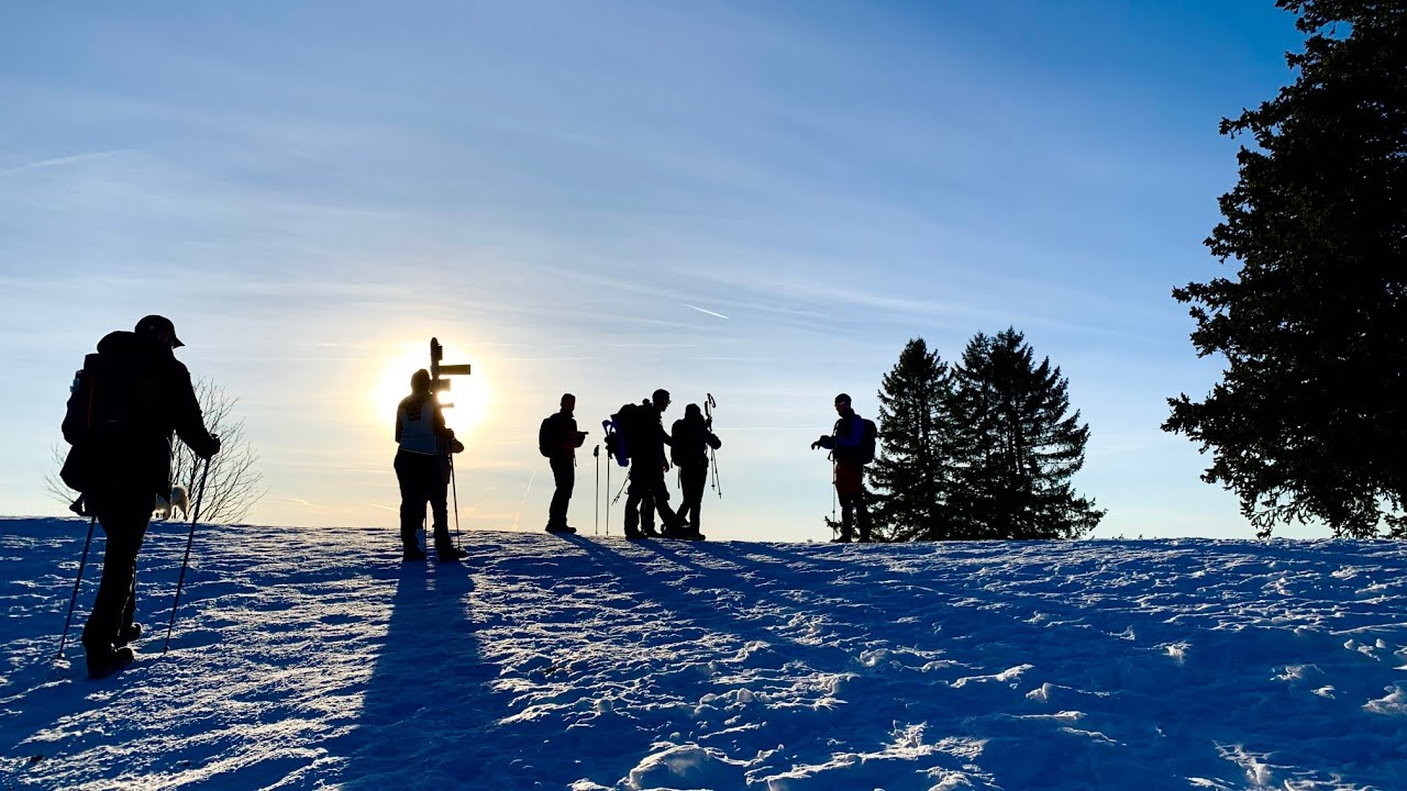 Randonnée /  Domaine du Grand Revard - La Feclaz