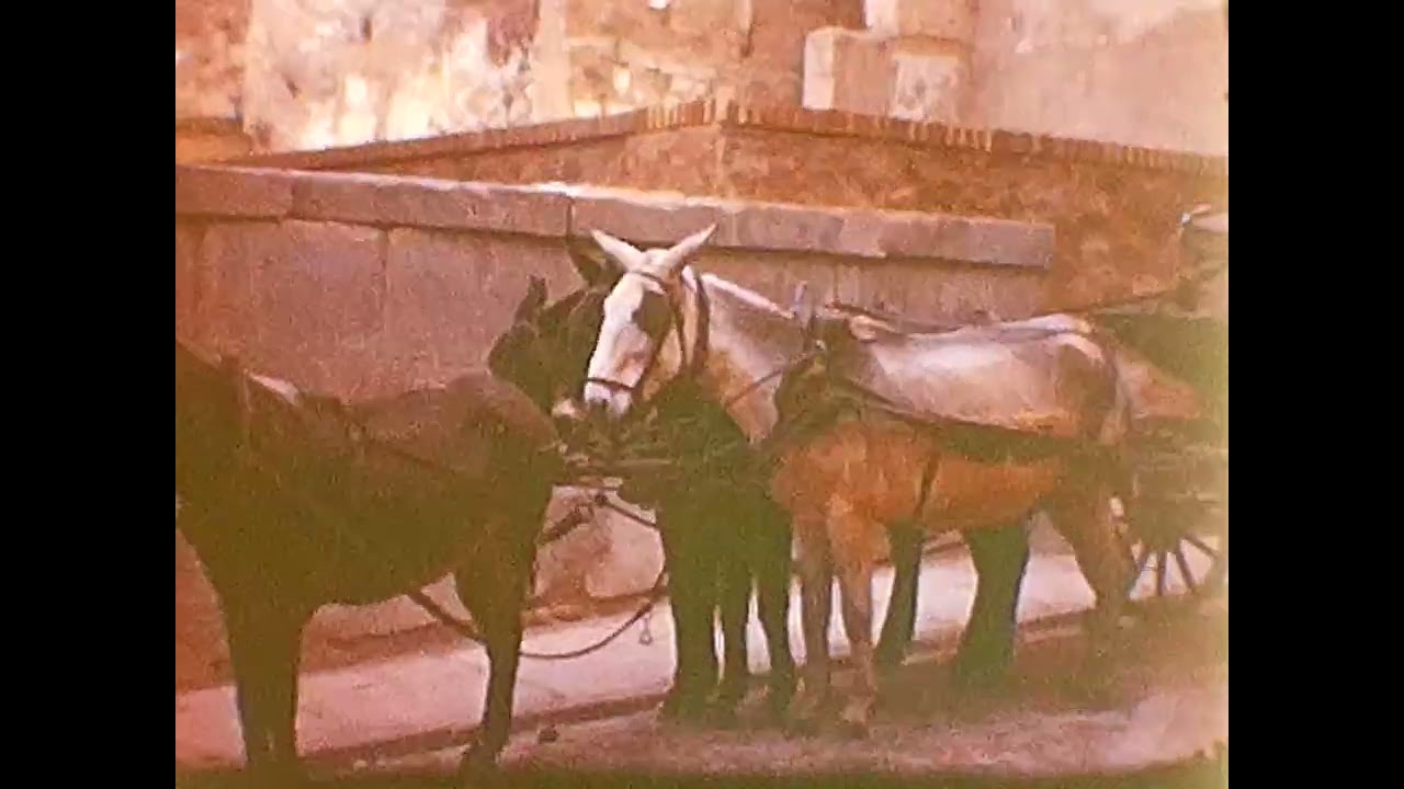 80 no2DYE1949OverSeas