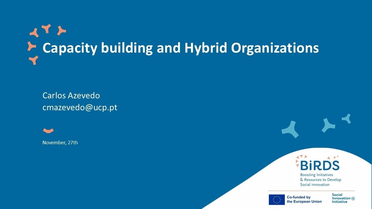 Workshop Online - Capacity building and Hybrid Organizations