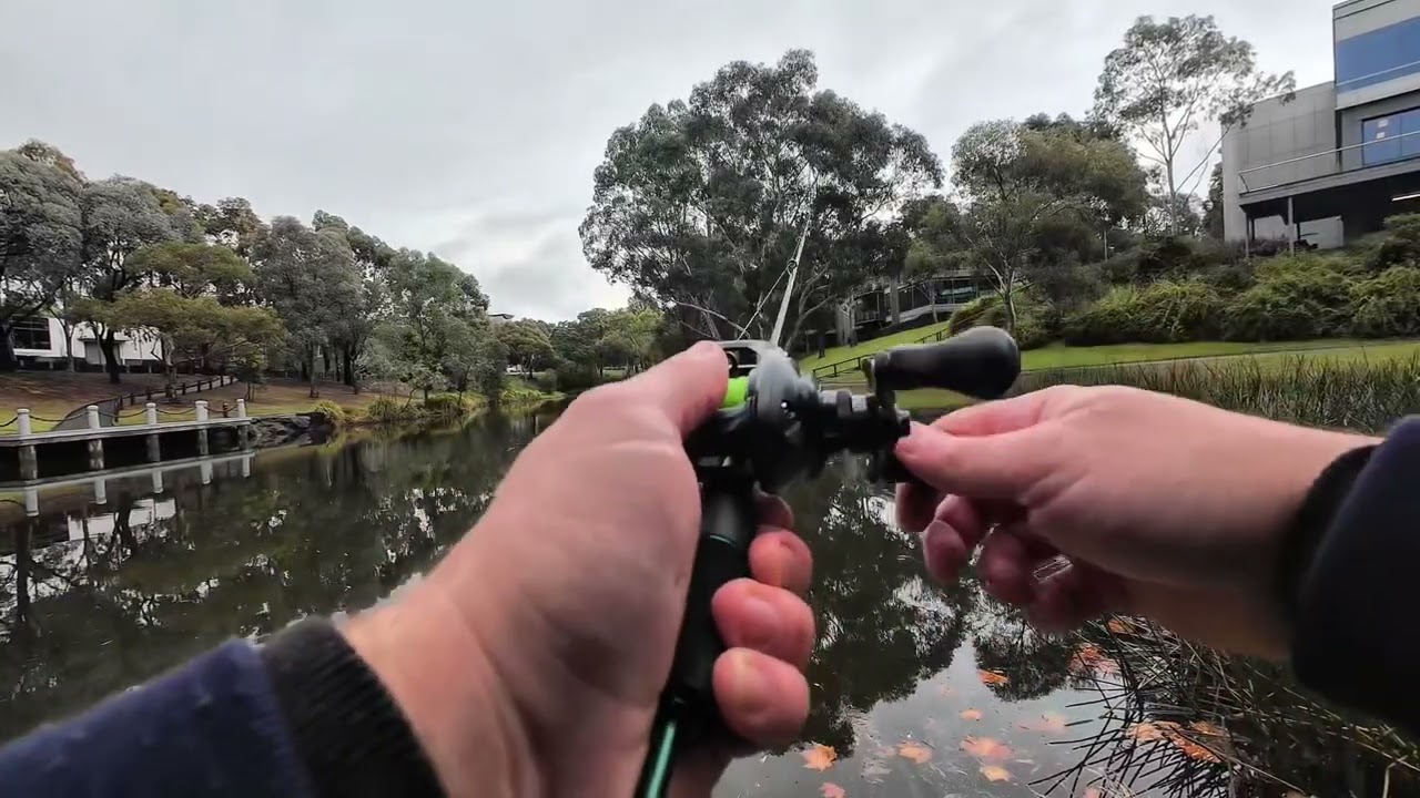 Fishing random Melbourne lakes for fish. Part 1.