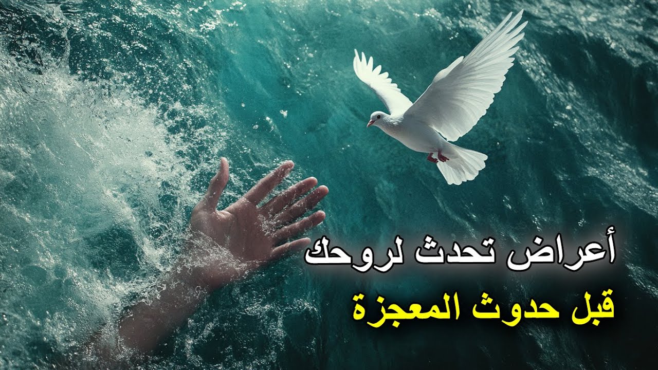 هذا الفيديو سيظهر لك إذا كانت روحك جاهزة لإستقبال معجزة في حياتك ✨⭐