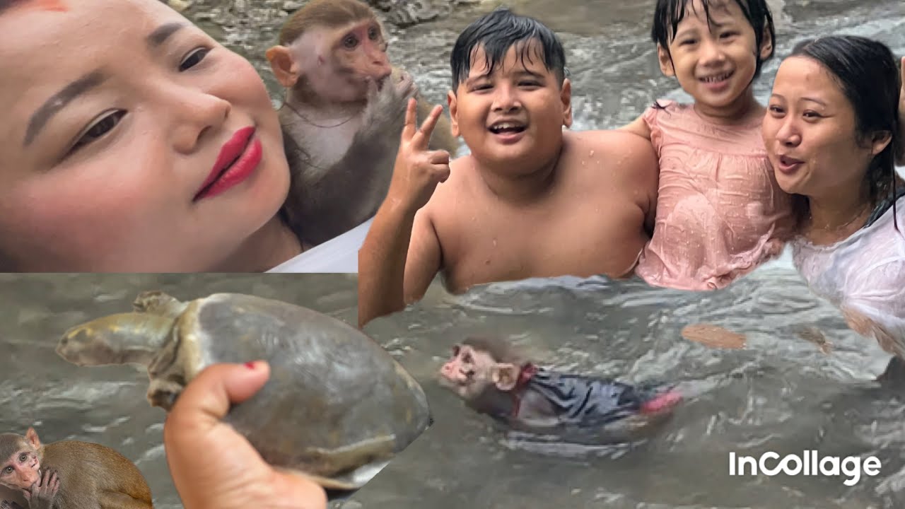 Aaja kholama Jogu hamfalera 🐒😭 // mero satto gayo😭😭