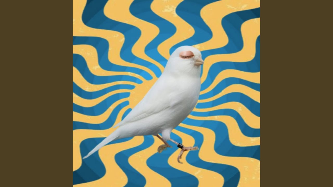robins in the trees (Damian Faye Remix)