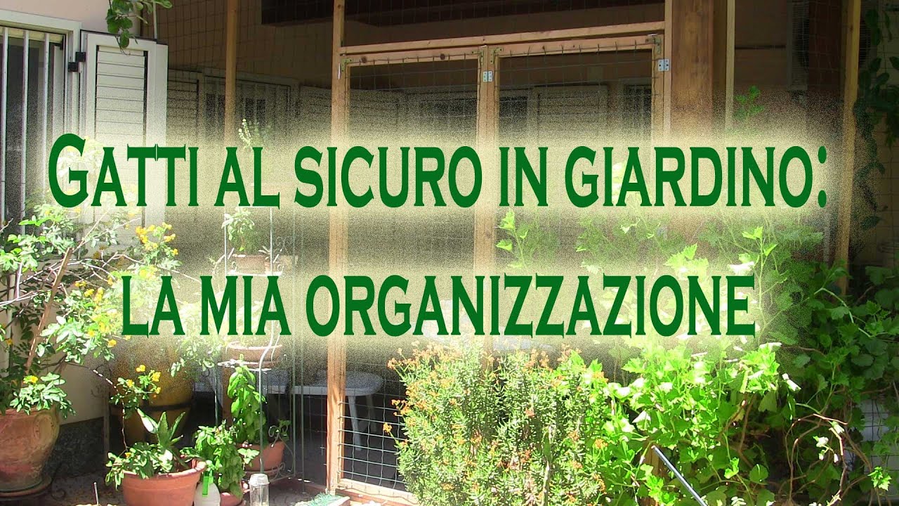 Gatti al sicuro in giardino: la mia organizzazione | Sorrisi Azzurri