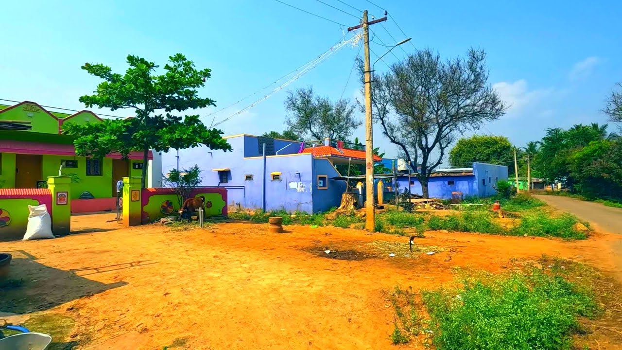 Indian countryside walk | Walking through rural India : A village walk tour | Perumal Kovil Patti