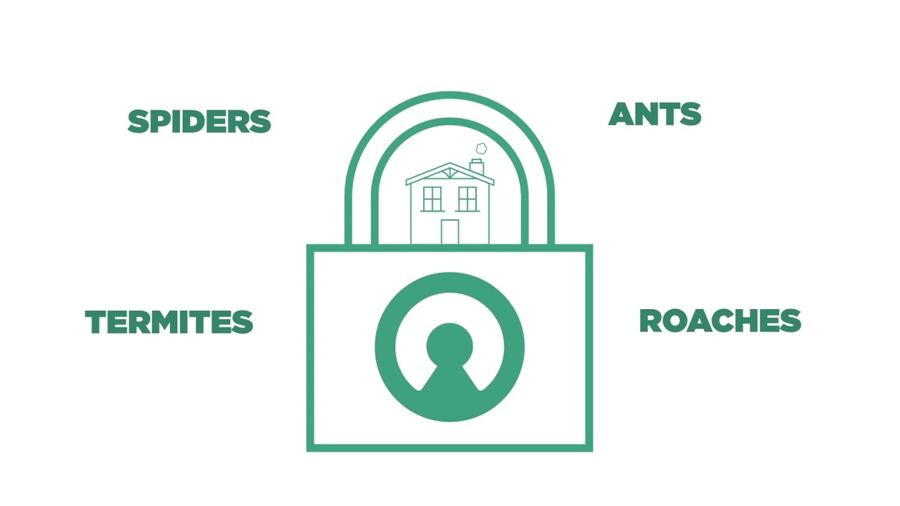 Protection Promise from Cingo