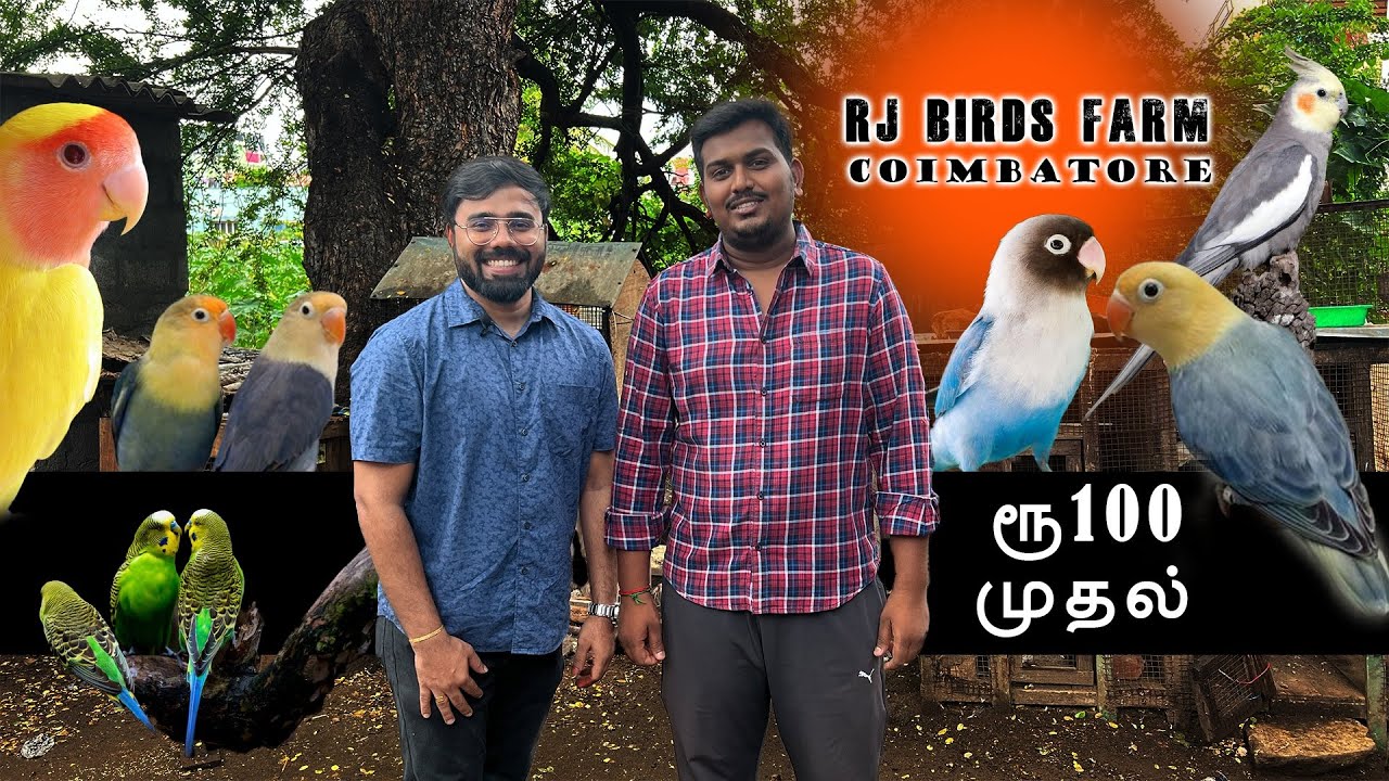 ரூ 100 முதல் RJ Birds Farm | Biggest birds farm Lowest price | Delivery Available