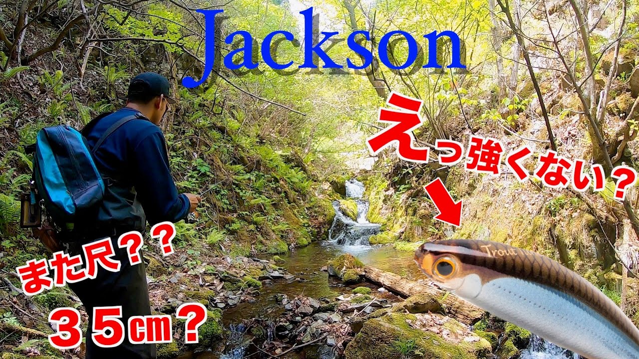 【圧倒的】RIKIコラボ！Jacksonのこのルアー知ってますか？！