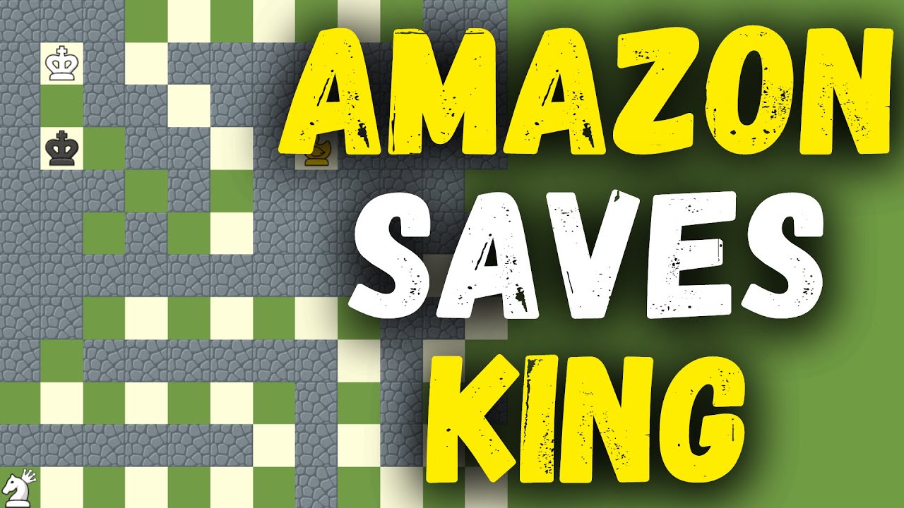 Amazon rescues her king from a TRAP | Fairy Chess