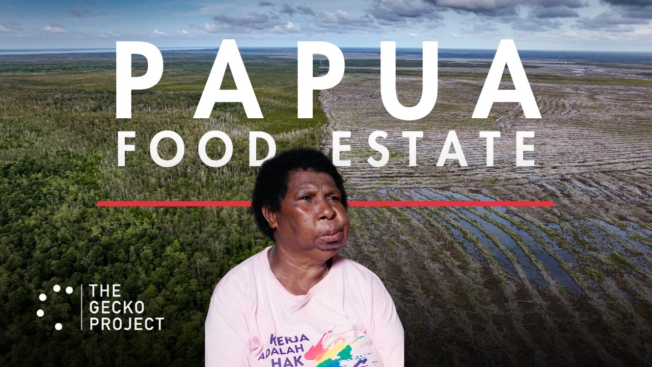 Langit Terbelah di Papua: Pelibatan TNI & Kesaksian Warga di Food Estate Merauke